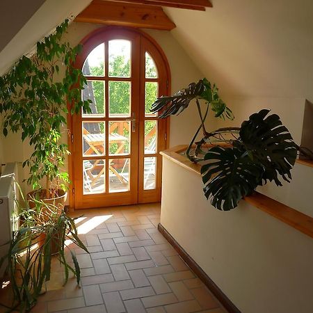 Aranyhaz Apartmanszallas ตีฮานี ภายนอก รูปภาพ